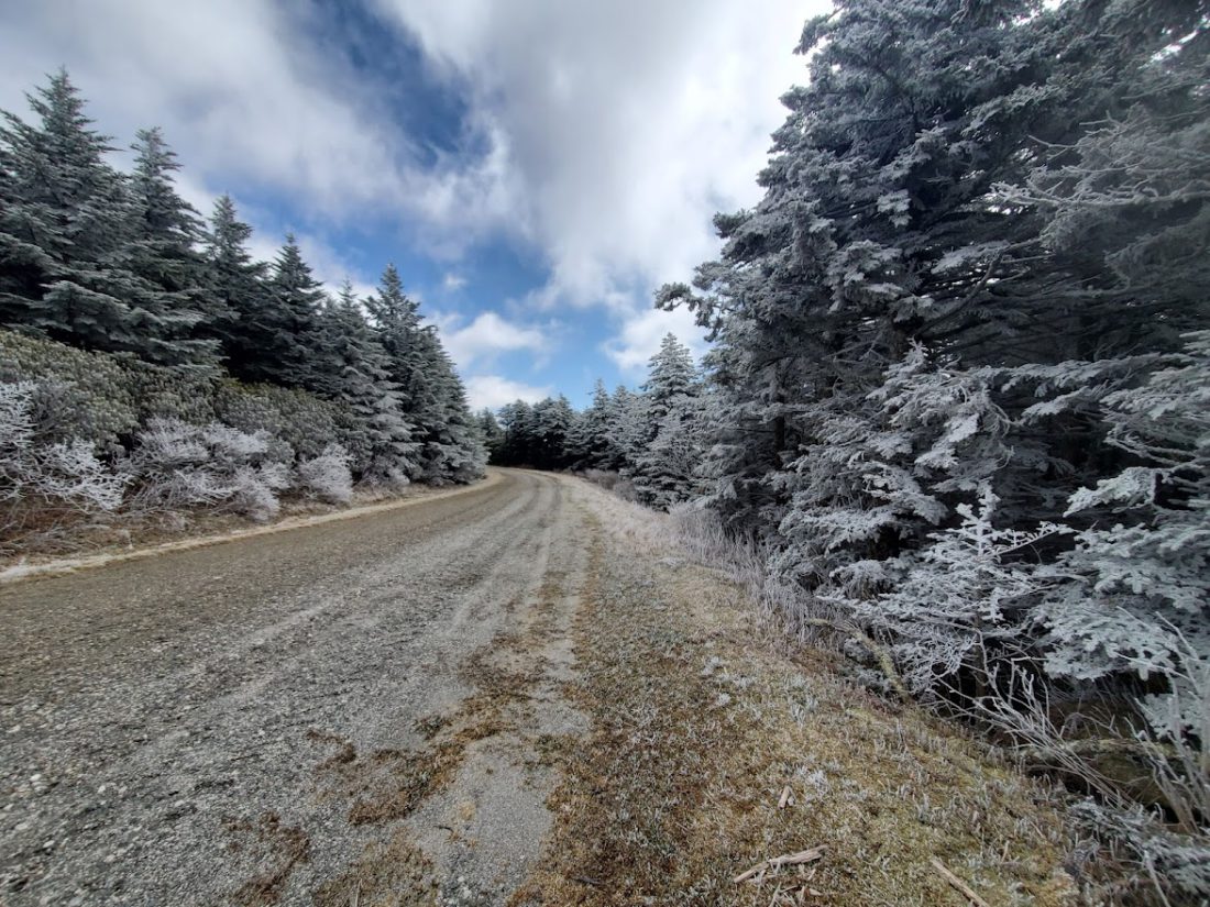 Road in the Roan Highlands of Mitchell County
