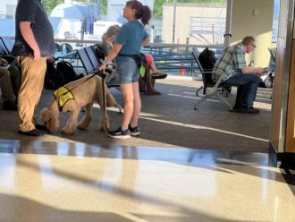 Therapy dogs at Asheville Regional Airport