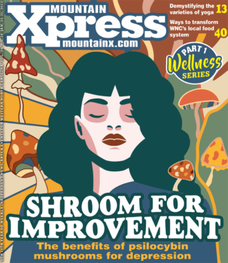 Wellness Series, Part 1: Shroom for Improvement