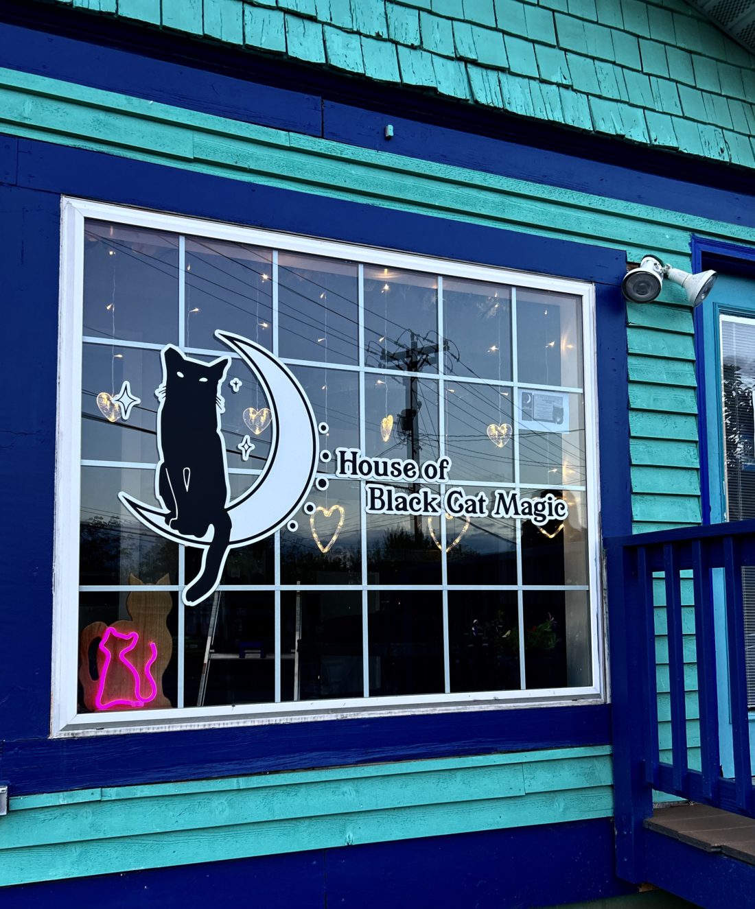 Resumen de negocios sin fines de lucro: Cat Café llegará a West Asheville